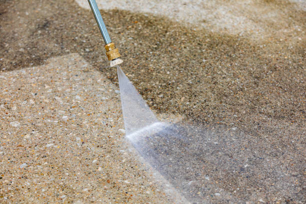 Animal Enclosure Cleaning in Broadway, VA